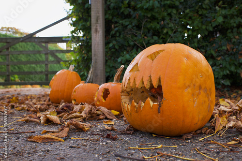 A row of pumpkins cut out into scary face lanterns for Halloween to celebrate the seasonal festive day in October