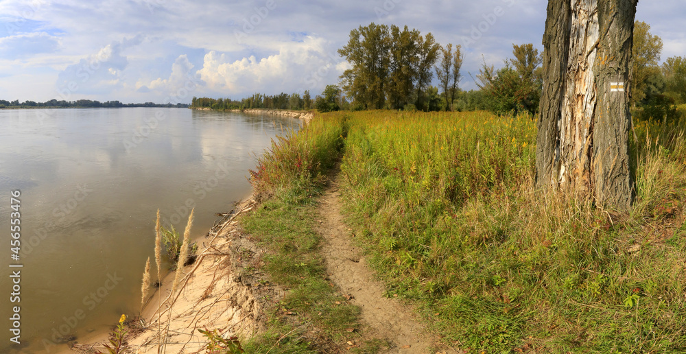 Tourist trail on the bank of the Vistula River being destroyed by erosion, south of Warsaw, Mazovia, Poland - obrazy, fototapety, plakaty 