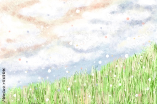 Grassy field on a cloudy day