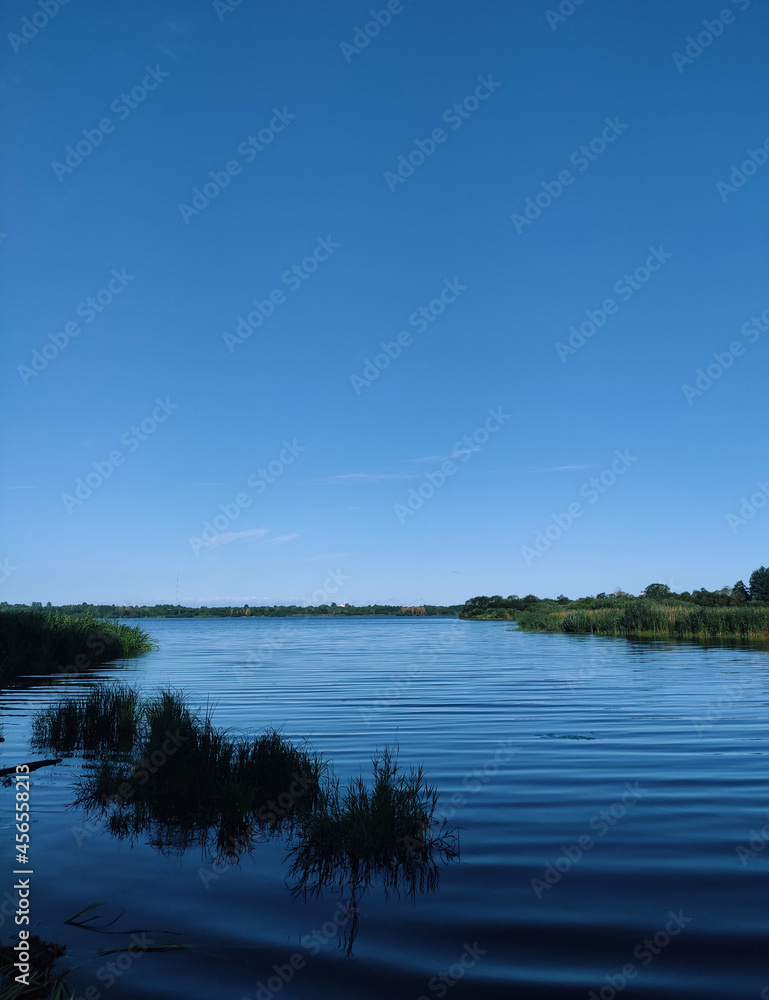 Fototapeta premium Nature in summer