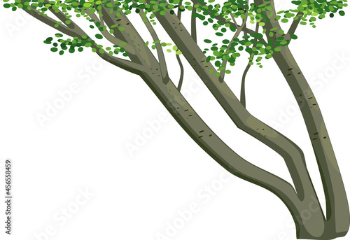 Abstract graceful tree trunks with green leaves isolated on white background