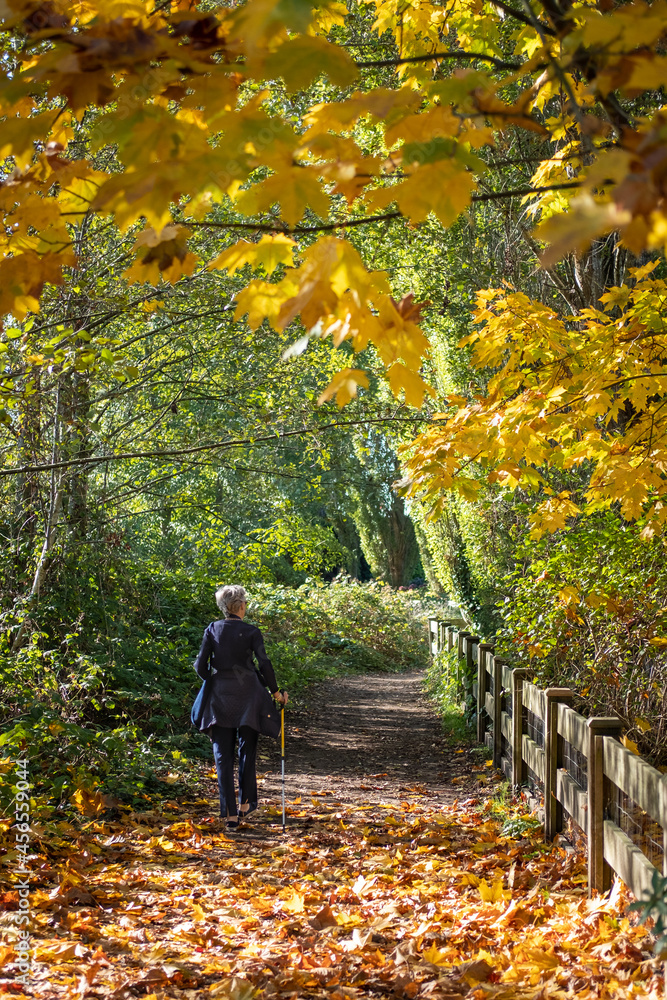Senior Woman walks on a leaf covered west coast forest trail in Autumn Senior Woman walks on a leaf covered west coast forest trail in Autumn