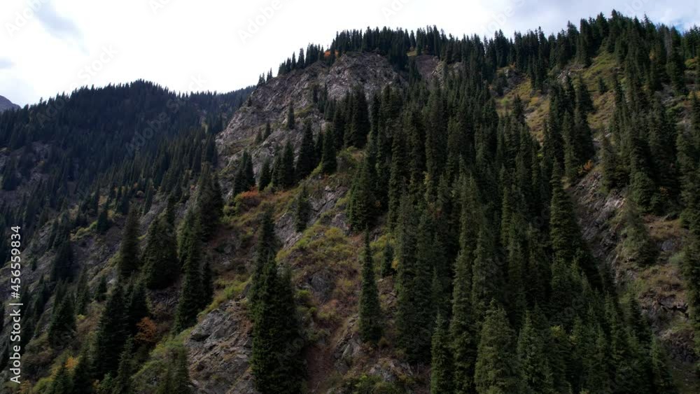 The mountain gorge is covered with coniferous trees. Clouds and peaks are visible in the distance. There are steep slopes and rocks along the edges of the gorge. Tall fir trees and bushes on slopes The mountain gorge is covered with coniferous trees. Clouds and peaks are visible in the distance. There are steep slopes and rocks along the edges of the gorge. Tall fir trees and bushes on slopes