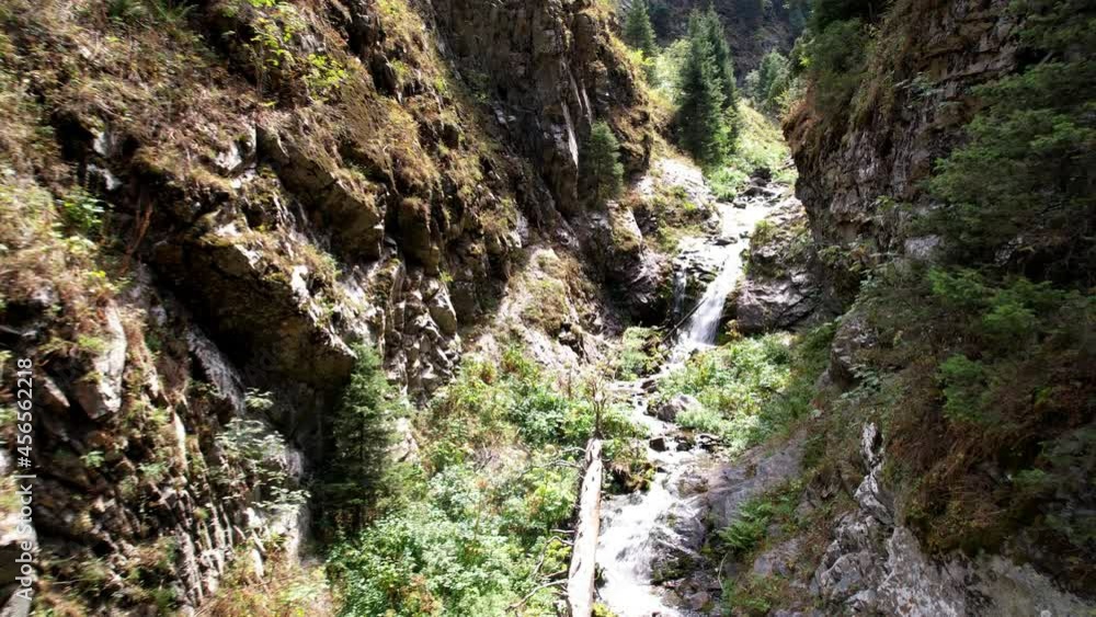 Coniferous green trees in the gorge with the river. The view from the drone. Steep cliffs covered with fir trees and green grasses. Small cascades of the river. Mountain trail. Ayusai Gorge, Almaty Coniferous green trees in the gorge with the river. The view from the drone. Steep cliffs covered with fir trees and green grasses. Small cascades of the river. Mountain trail. Ayusai Gorge, Almaty