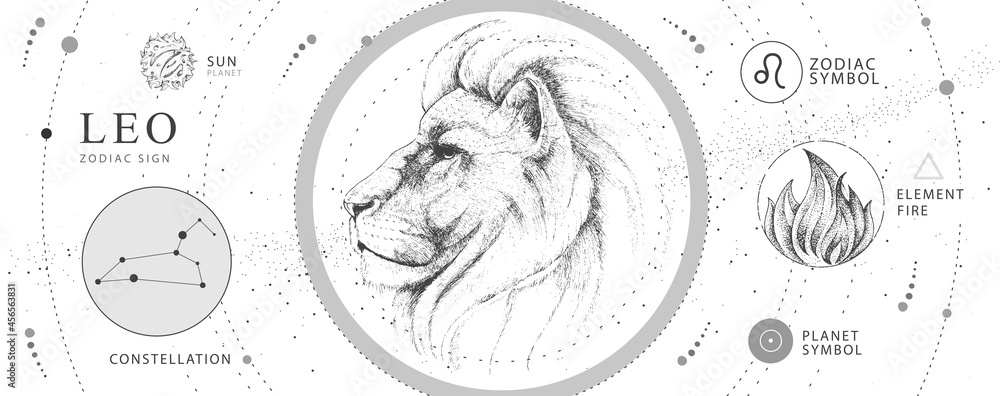 Modern magic witchcraft card with astrology Leo zodiac sign. Realistic hand drawing lion head. Zodiac characteristic - obrazy, fototapety, plakaty 