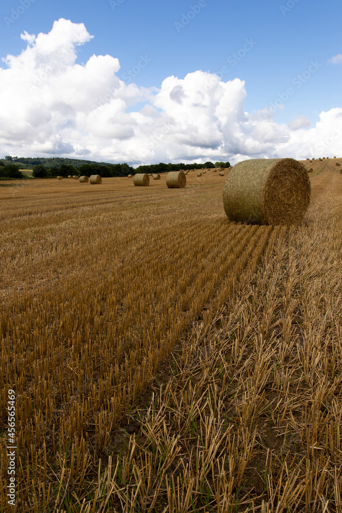 Fototapeta premium Detail of a hay bale in the field