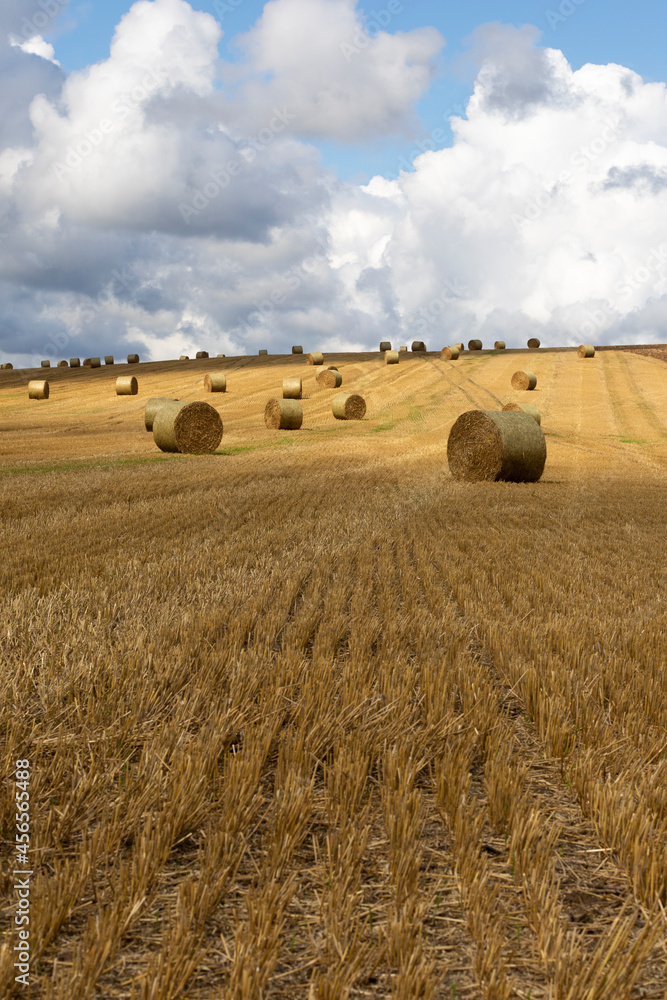 Hay bales in the field with beautiful afternoon light