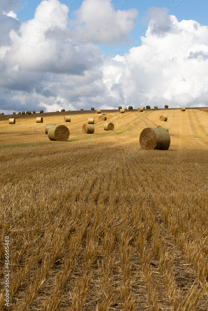 Fototapeta premium Hay bales in the field with beautiful afternoon light