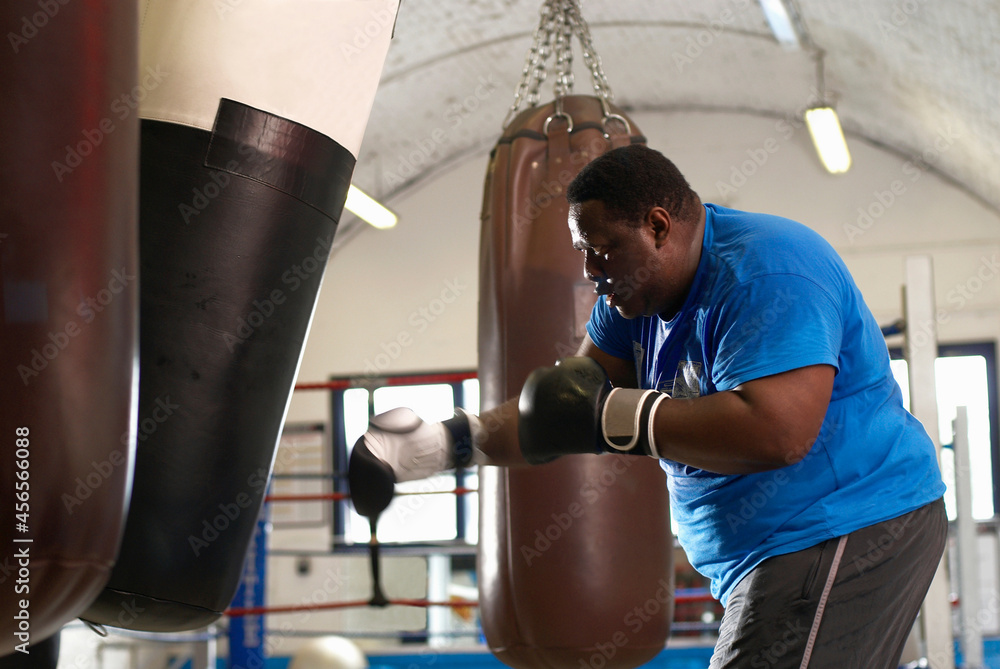 Boxer using punching bag in gym