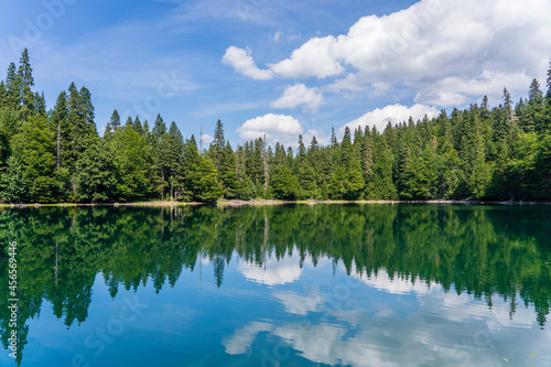 Mountain lake surrounded by dense coniferous and beech forest. Montenegro, Europe