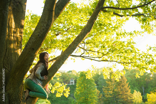 Photography Young female climbing tree in park