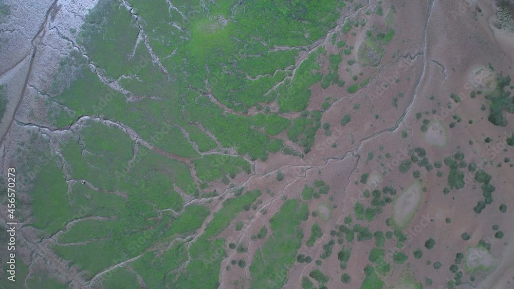 Marshes of the Ría de San Martin between the municipalities of Suances, Miengo and Polanco at the mouth of the river Saja. Cantabrian Sea, Cantabria, Spain, Europe Marshes of the Ría de San Martin between the municipalities of Suances, Miengo and Polanco at the mouth of the river Saja. Cantabrian Sea, Cantabria, Spain, Europe