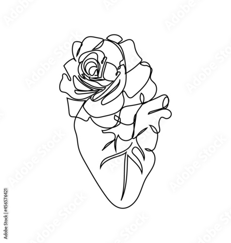 Human heart with a tea rose one line set art. Continuous line drawing of internal organ and flowers.