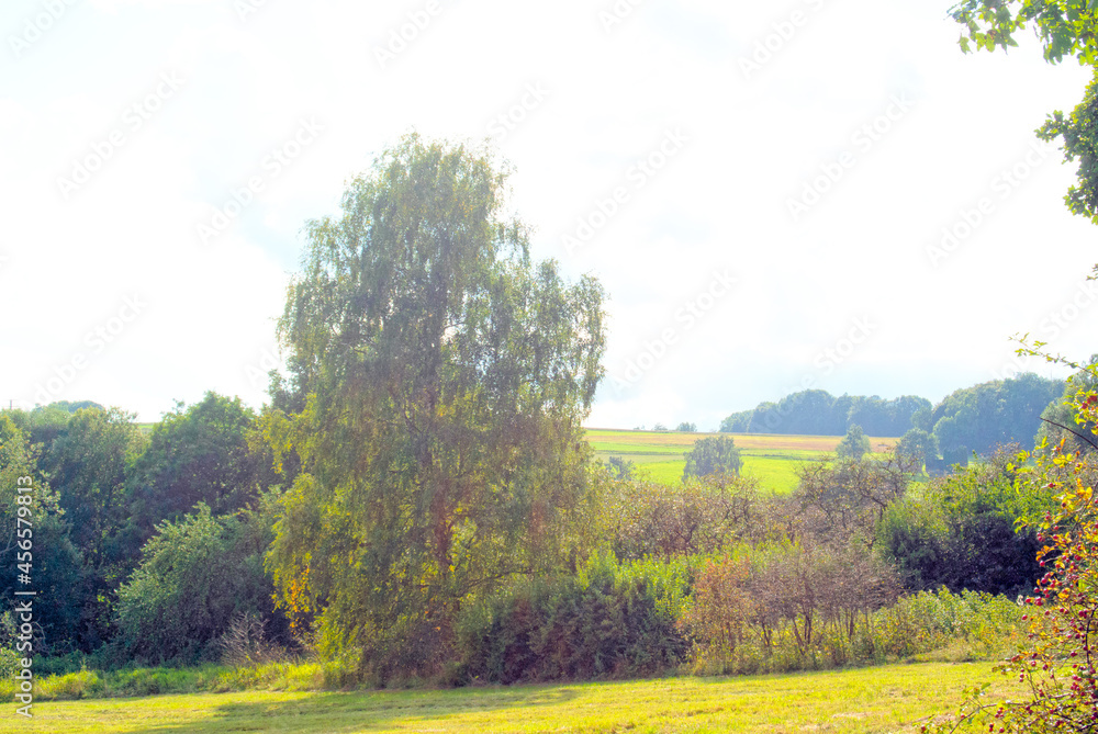 Lichtenberg Lichtenberg