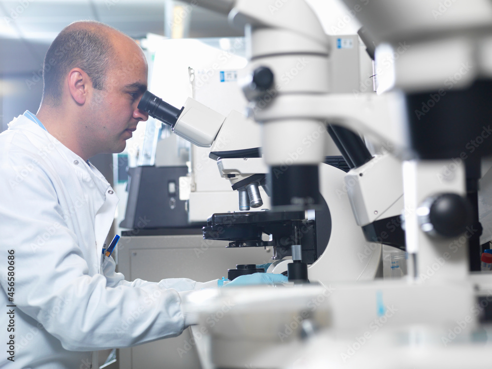 Scientist viewing parasites under light microscope in laboratory, Jenner Institute, Oxford University Scientist viewing parasites under light microscope in laboratory, Jenner Institute, Oxford University
