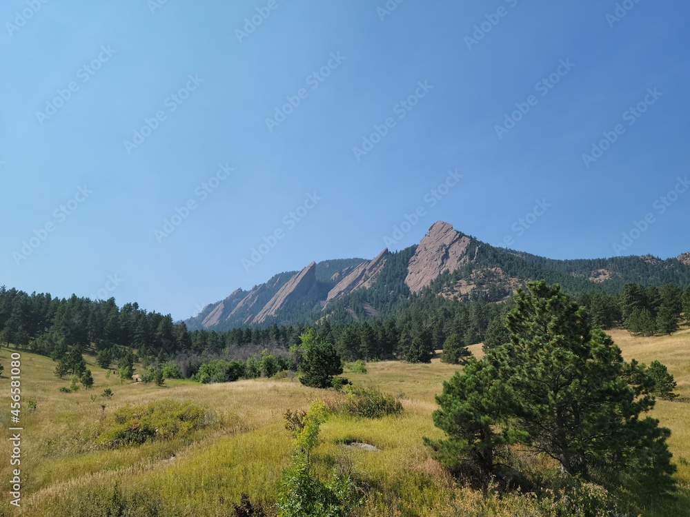 Fototapeta premium park