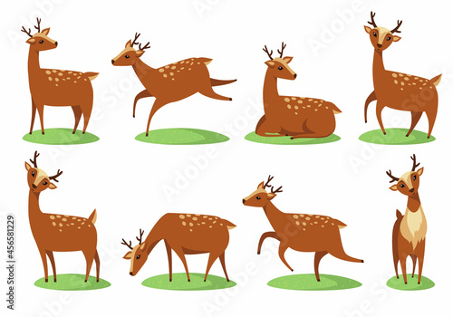 Cute deer hunting on white background  vector illustration. Coloring page for kids and adults.