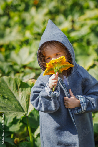 A girl in a hooded coat holds a pumpkin flower in her hand and sniffs it. Walk children in nature in the fall. 