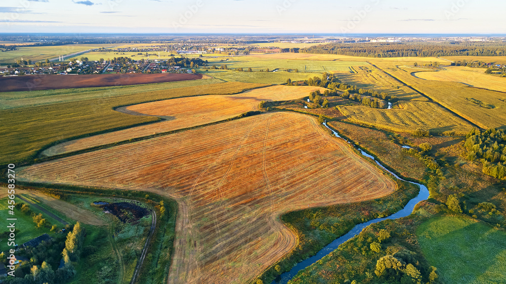 September agriculture fields aerial panorama. Sunny autumn landscape. Corn harvest.