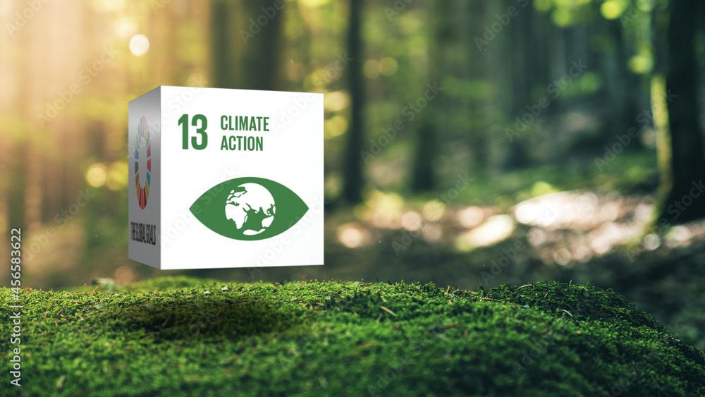 Sustainable Development 13 Climate Action in Moss Forrest Background 17 Global Goals Concept Cube Design - obrazy, fototapety, plakaty 