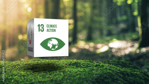 Sustainable Development 13 Climate Action in Moss Forrest Background 17 Global Goals Concept Cube Design