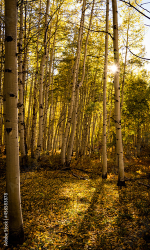 The sun pokes through on a fall day outside of Crested Butte, Colorado.