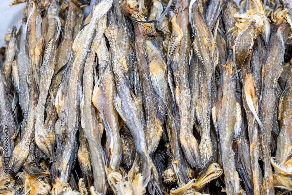 Dried bombay duck sea fish on a bowl close up with selective focus Dried bombay duck sea fish on a bowl close up with selective focus