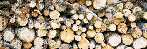 Wood chop stove. Woodpile texture background. Trees store. Hardwood pile stack. Wooden biomass wall. Split forest. Agriculture work. Round shape