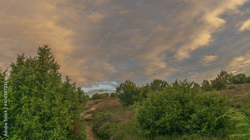 Obraz premium Lüneburger Heide