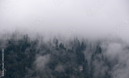 un panorama di montagna ricco di nuvole, una brutta giornata di montagna con le nuvole dense sopra il bosco © giovanni