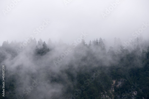 un panorama di montagna ricco di nuvole  una brutta giornata di montagna con le nuvole dense sopra il bosco