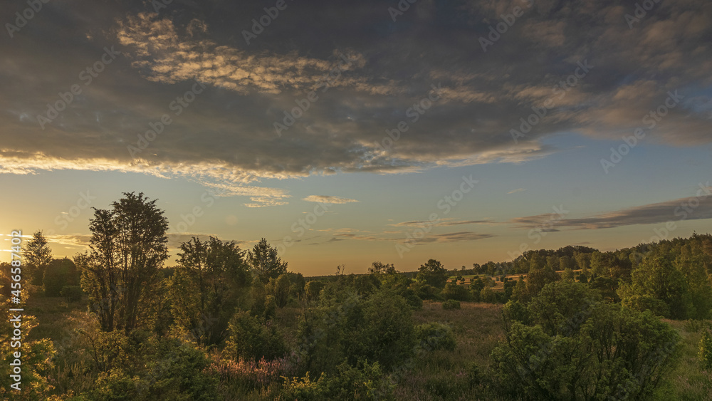 Lüneburger Heide