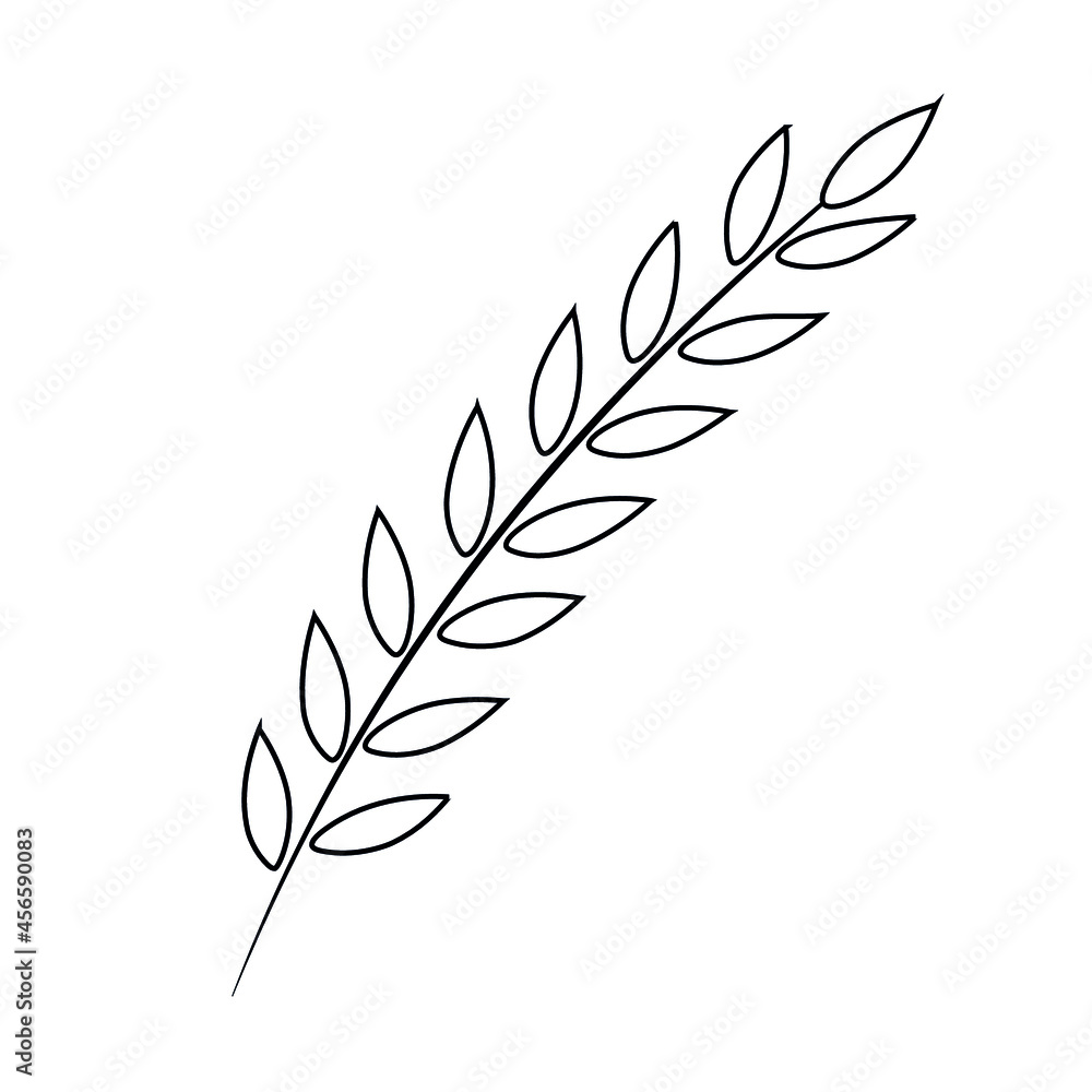 Vector image. Plant leaf drawn by a thin line. Black branch on a white background. Ideal template for design, print, art objects, print for textiles, postcards.