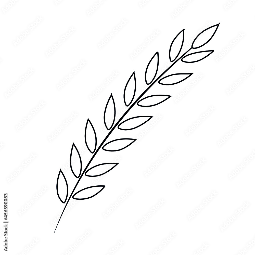 Fototapeta premium Vector image. Plant leaf drawn by a thin line. Black branch on a white background. Ideal template for design, print, art objects, print for textiles, postcards.