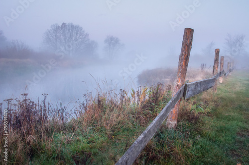 Obraz na płótnie Scenery of autumn nature on misty sunrise. Road near misty river. Dry grass along the river bank. w salonie