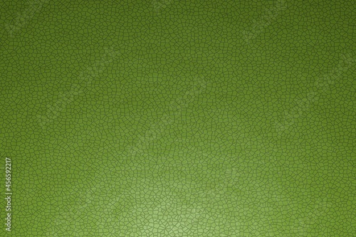 Leather texture, flat view. The name of the color is yellow green