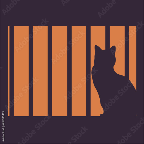 A dark silhouette of a cat against the background of the orange light of the window
