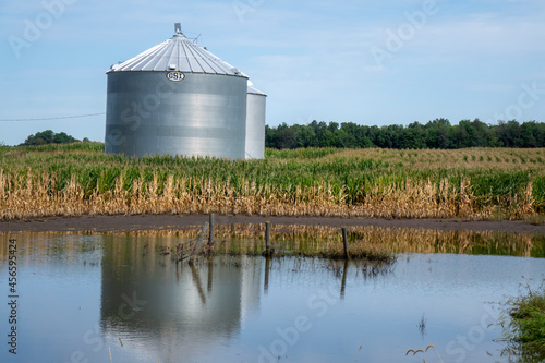 Flooded farmland around a corn field and silos in summer in Michigan, USA.