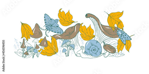 mushrooms, butterflies and autumn leaves