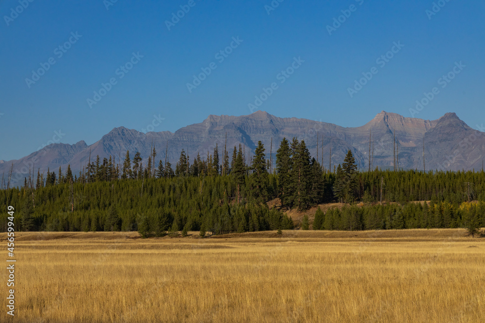 Meadow at sunset with fall foliage trees and mountain background