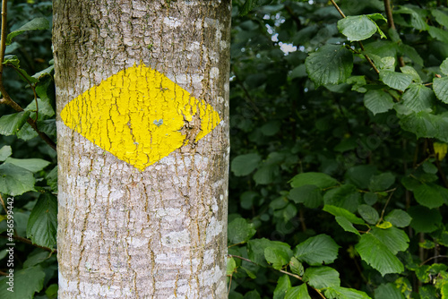 Old yellow swiss hiking sign on a tree