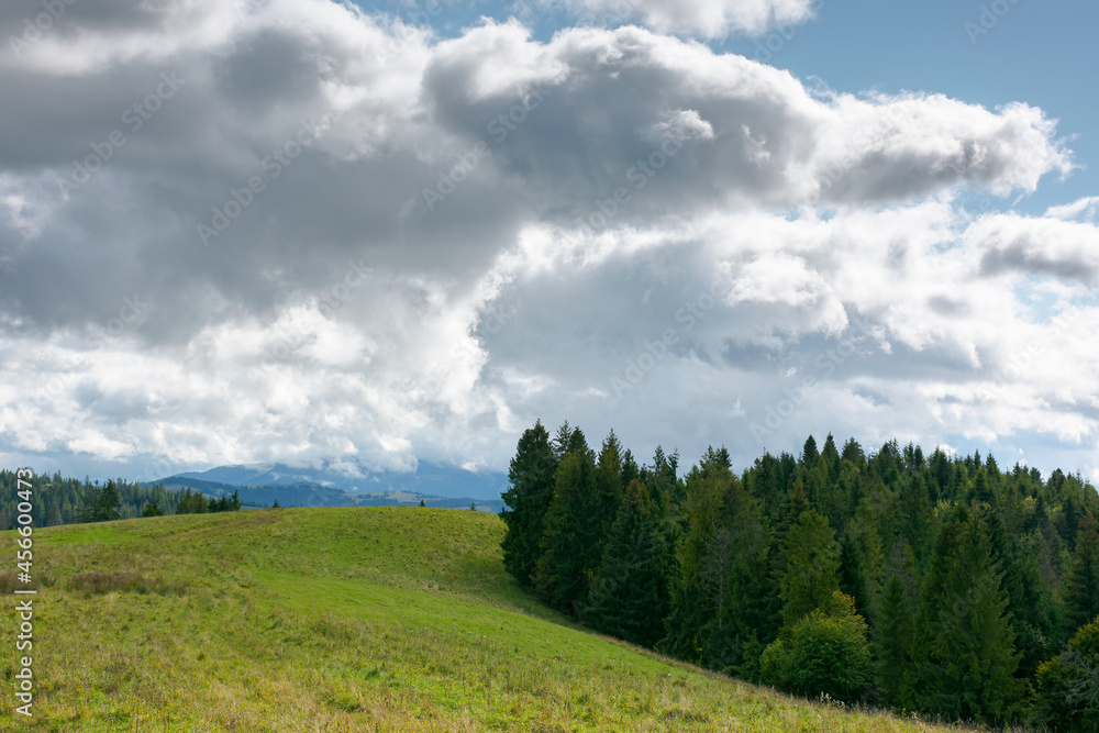 mountain landscape in early autumn. trees and meadows on rolling hill in dappled light. sunny nature scenery with cloudy sky on a sunny and windy day mountain landscape in early autumn. trees and meadows on rolling hill in dappled light. sunny nature scenery with cloudy sky on a sunny and windy day