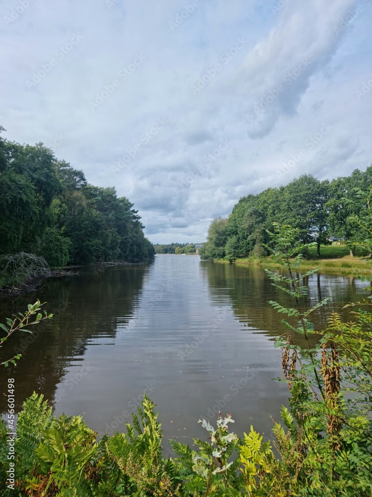 Obraz premium lake and forest