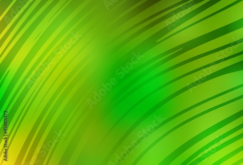Light Green  Yellow vector layout with curved lines.