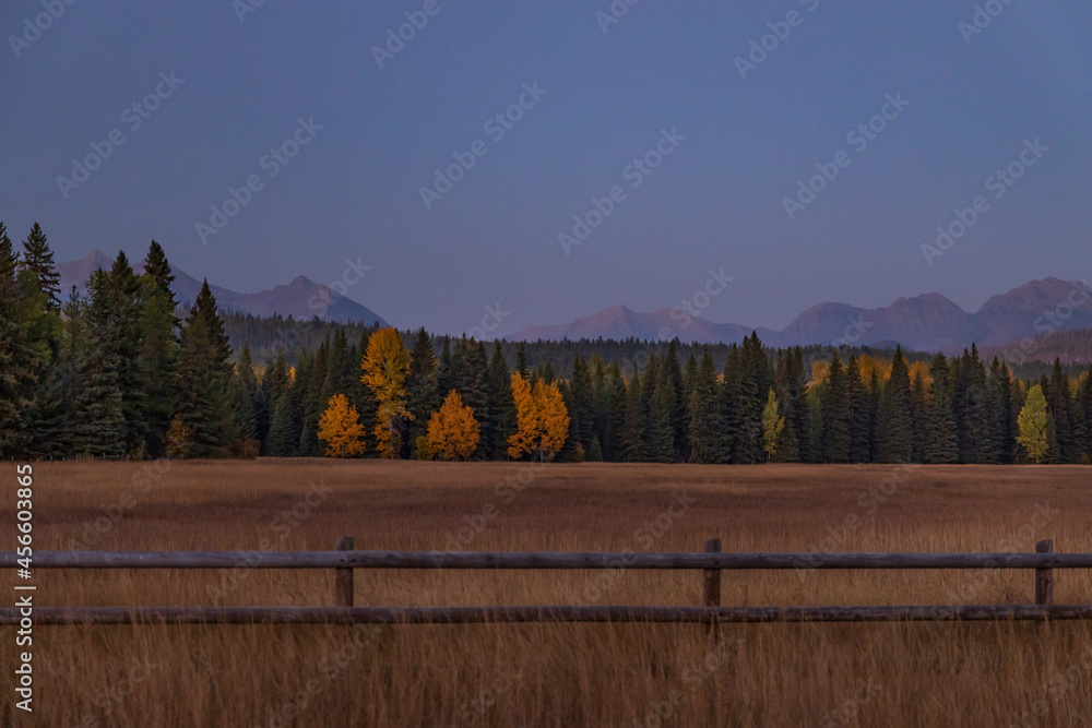 Meadow at sunset with fall foliage trees and mountain background