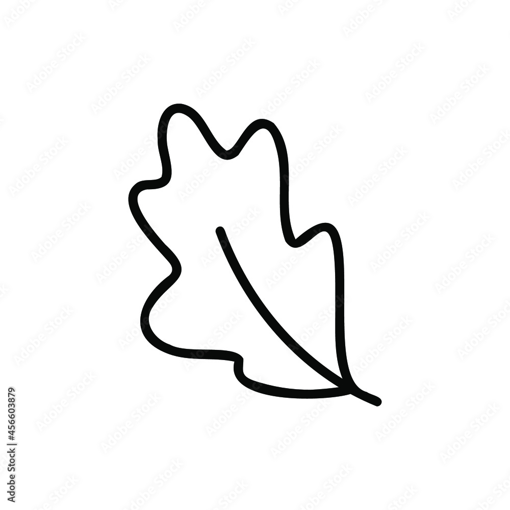 Outline leaf symbol. Simple drawing of plant. Outline leaf symbol. Simple drawing of plant.