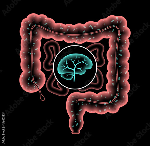 Gut Brain 3D