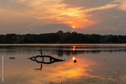sunrise at Busse Lake Elk Grove Village, Illinois USA