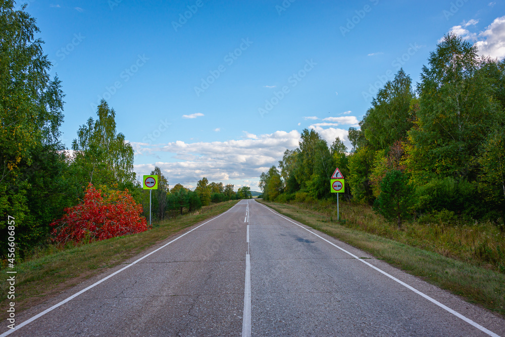 The road through the forest. There are road signs on the side of the road.