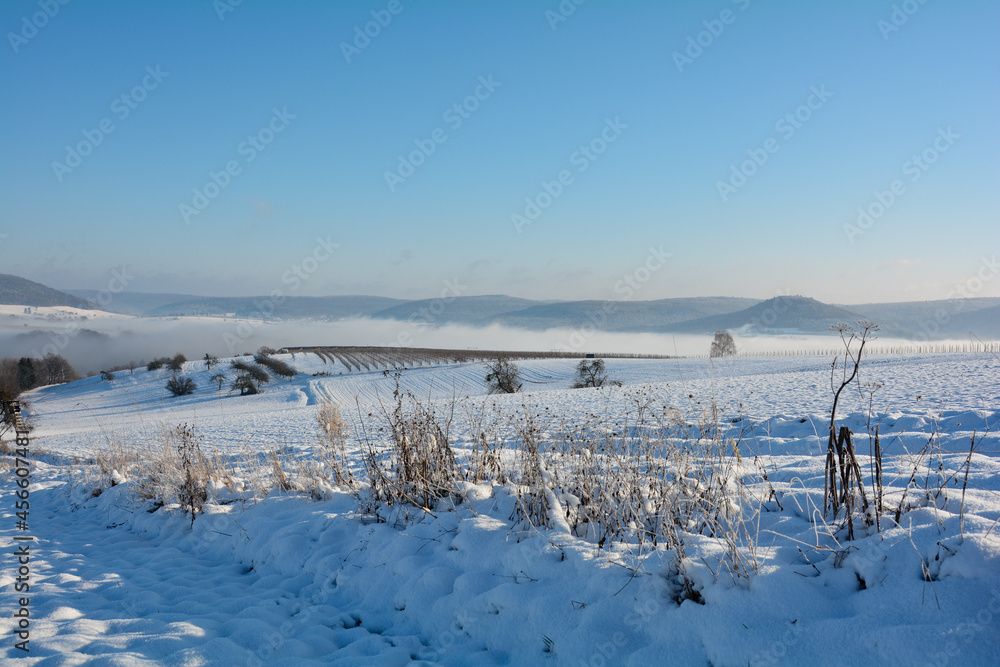 Winter landscape with snow, blue sky  and morning fog